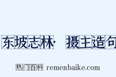 东坡志林·摄主造句是什么意思的图片